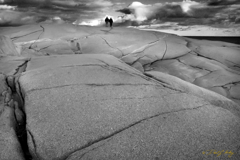 peggys cove-bw
